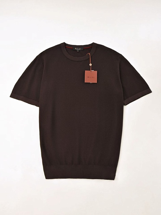 Мужская коричневая футболка Loro Piana premium