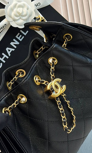 Кожаная сумка Chanel 25 Mini premium 20x22x12.5 см   