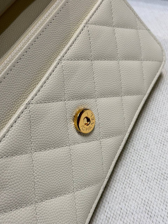 Кожаная сумка Chanel Wallet on Chain premium 19x12x4 см