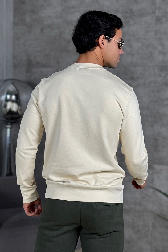 Мужской свитшот Hugo Boss Dettil - Beige