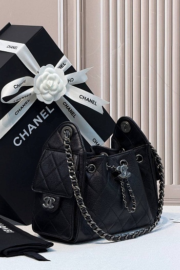 Кожаная сумка Chanel 25 Mini premium 20x22x12.5 см   