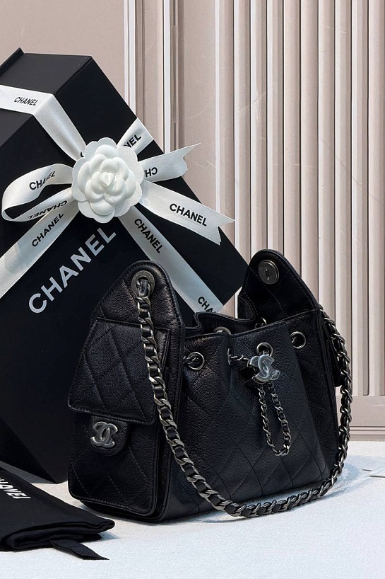 Кожаная сумка Chanel 25 Mini premium 20x22x12.5 см