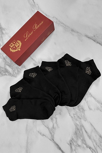 Комплект носков Loro Piana brown logo   
