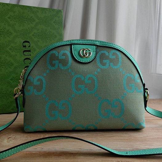 Сумка Gucci Ophidia Jumbo GG Small 24x18 см - Geen   