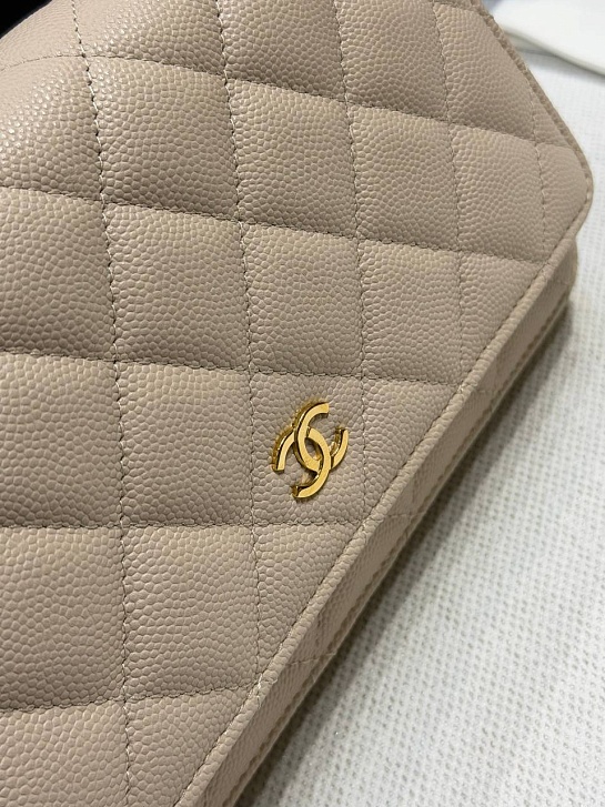 Кожаная сумка Chanel Wallet on Chain premium 19x12x4 см