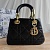 Кожаная сумка Dior Lady 25x18 см