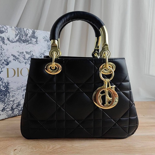 Женская сумка Christian Dior Lady D-Sire 25x18 см (6 расцветок)