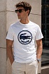 Мужская белая футболка Lacoste logo-print
