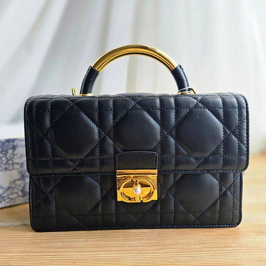 Кожаная сумка Dior Ange 23x16 см   