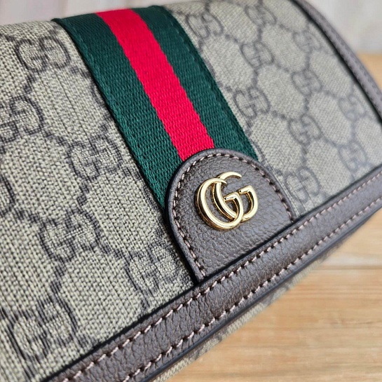 Сумка Gucci GG Ophidia Mini 20x12 см