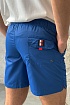 Мужские синие шорты Tommy Hilfiger