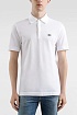 Мужское поло Dolce & Gabbana Premium - White