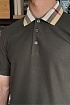 Мужское поло Burberry Premium - Green