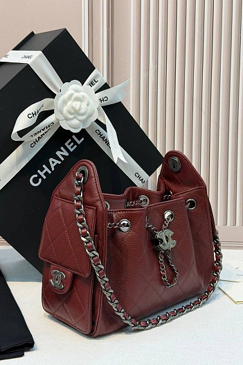 Кожаная сумка Chanel 25 Mini premium 20x22x12.5 см   