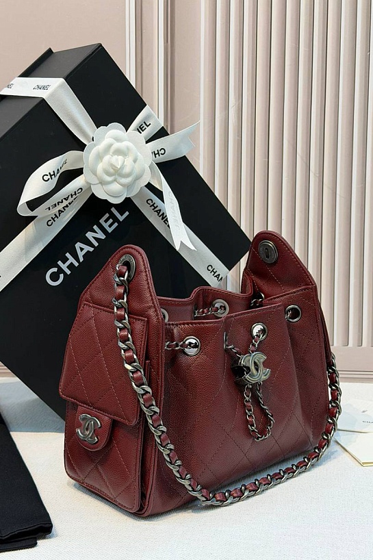 Кожаная сумка Chanel 25 Mini premium 20x22x12.5 см