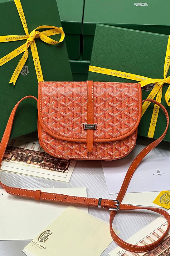 Кожаная сумка Goyard Belvedere Messenger PM premium 22x17x6 см