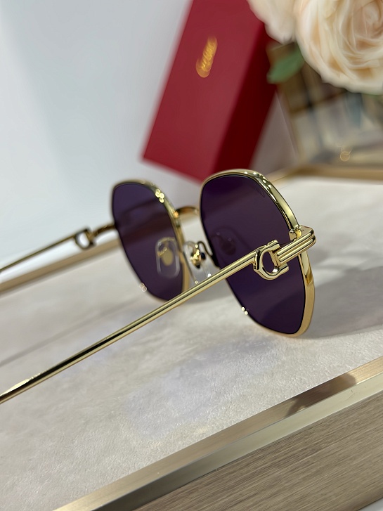 Солнцезащитные очки Cartier Premiere