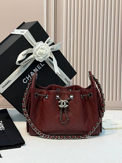 Кожаная сумка Chanel 25 Mini premium 20x22x12.5 см   