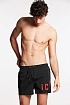 Мужские шорты Dsquared2 "ICON" - Black / Red