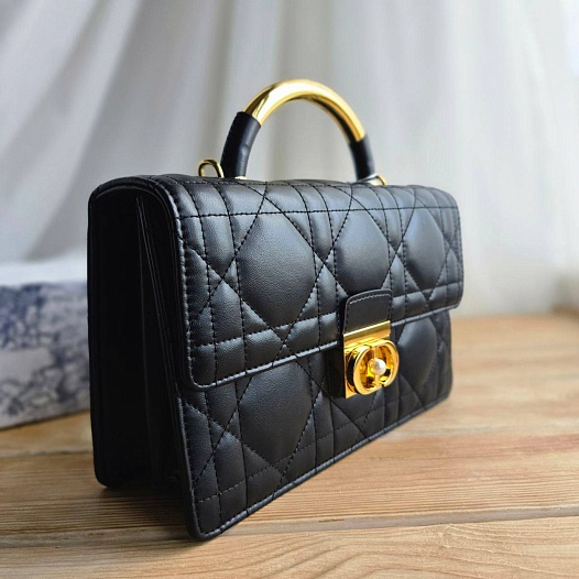 Кожаная сумка Dior Ange 23x16 см   