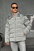 Мужская серая куртка Louis Vuitton monogram all-over