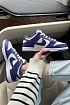 Кроссовки Nike Dunk Low Championship Court Purple