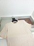 Мужская бежевая футболка Loro Piana premium