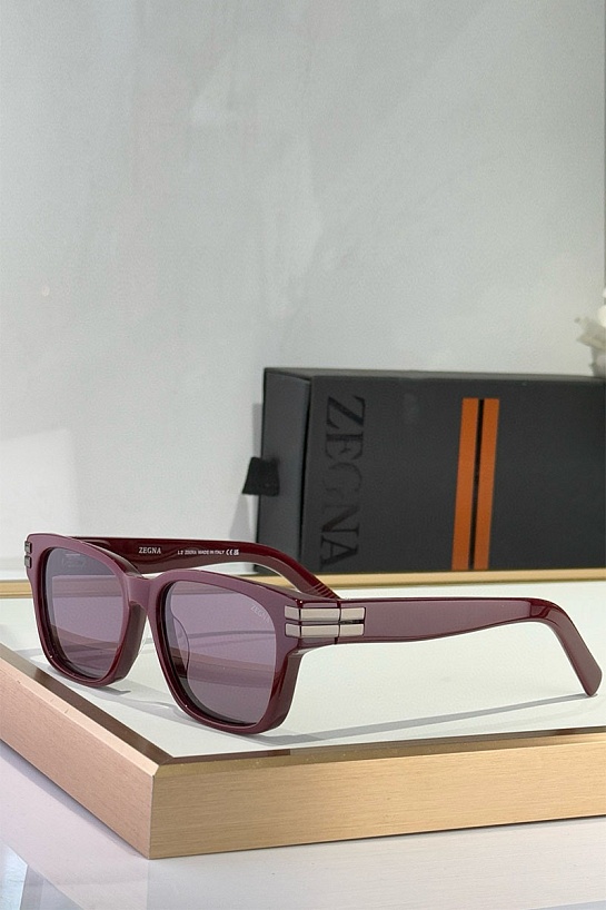Солнцезащитные очки Zegna Acetate