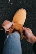 Мужские ботинки Timberland Ginger Termo