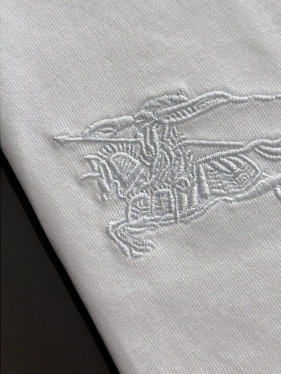 Футболка белого цвета Burberry Premium   