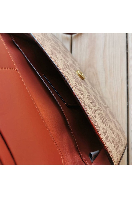 Женская сумка Coach Wyn Clutch In Colorblock 22x13 см