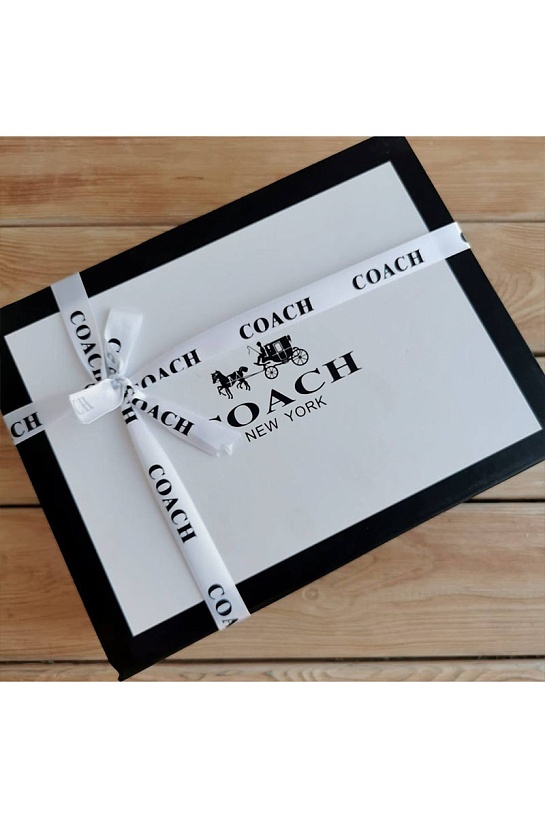 Женская сумка Coach Wyn Clutch In Colorblock 22x13 см