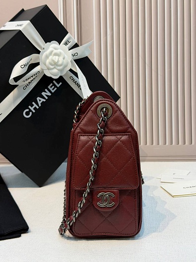 Кожаная сумка Chanel 25 Mini premium 20x22x12.5 см   