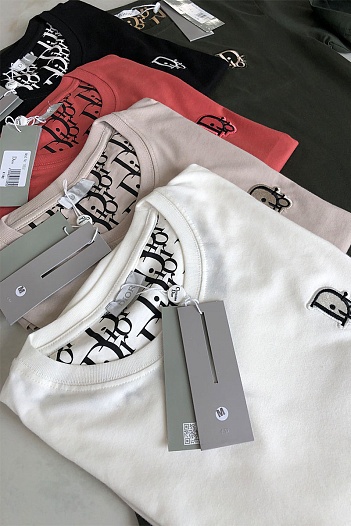 Белая мужская футболка Dior embroidered logo   