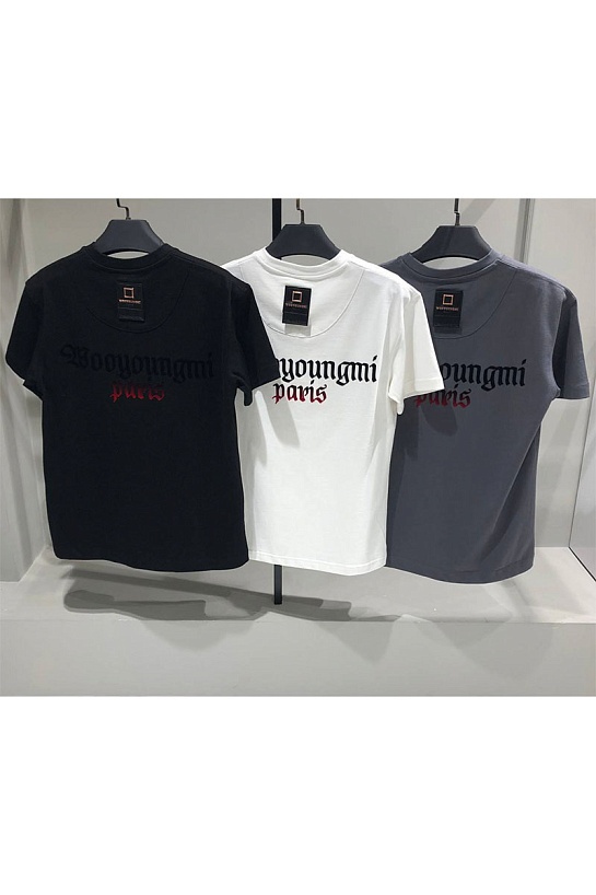 Мужская футболка Wooyoungmi Paris - Grey