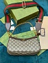 Сумка Gucci GG Ophidia small premium 25x15.5x6 см
