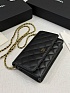 Кожаная сумка Chanel Wallet on Chain premium 19x12x4 см