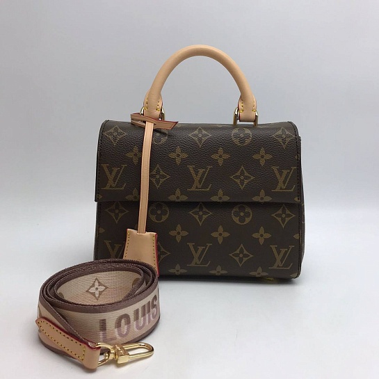 Кожаная сумка Louis Vuitton Cluny Mini Monogram 20x15x5 см