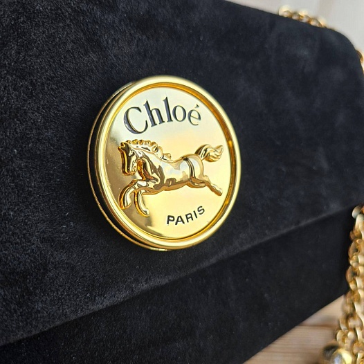 Замшевая сумка Chloe Small Heritage 28x17 см   