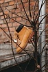 Мужские ботинки Timberland Ginger Termo