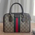Сумка на плечо Gucci Ophidia GG 24x17 см