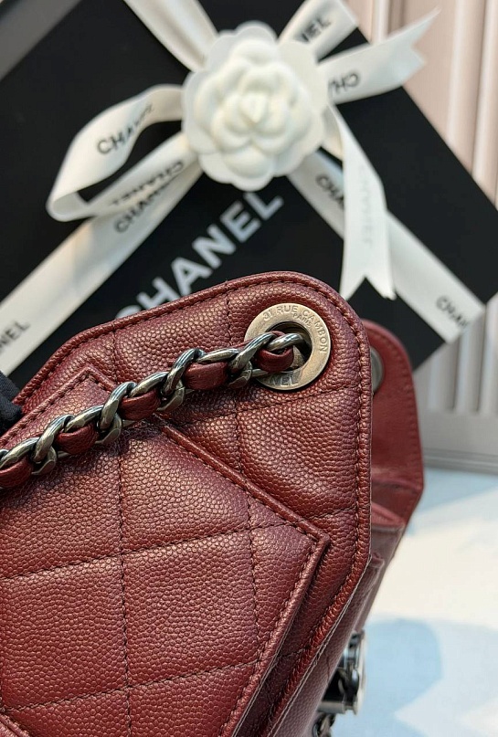 Кожаная сумка Chanel 25 Mini premium 20x22x12.5 см