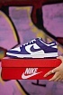 Кроссовки Nike Dunk Low Championship Court Purple