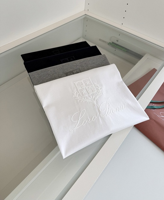 Мужская чёрная футболка Loro Piana premium
