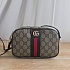 Сумка Gucci GG Ophidia 20x14 см