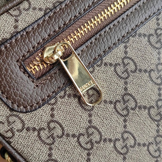Женская сумка Gucci Ophidia GG mini 21x15 см