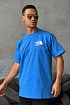 Оверсайз футболка Gucci x The North Face Collaboration landscape print - Blue