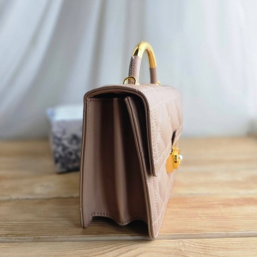 Кожаная сумка Dior Ange 23x16 см   