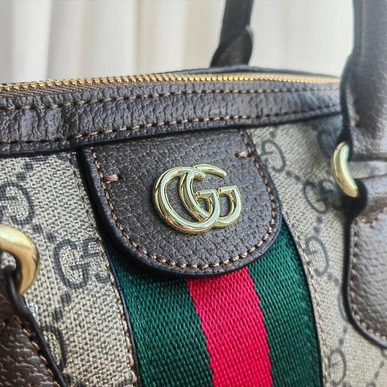 Сумка на плечо Gucci Ophidia GG 24x17 см