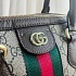 Сумка на плечо Gucci Ophidia GG 24x17 см